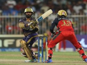 IPL Today: A Combination of Cricket and Entertainment